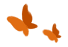 NameGame social butterflies
